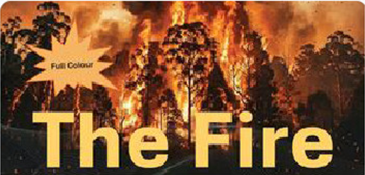 The Fire book banner cover art